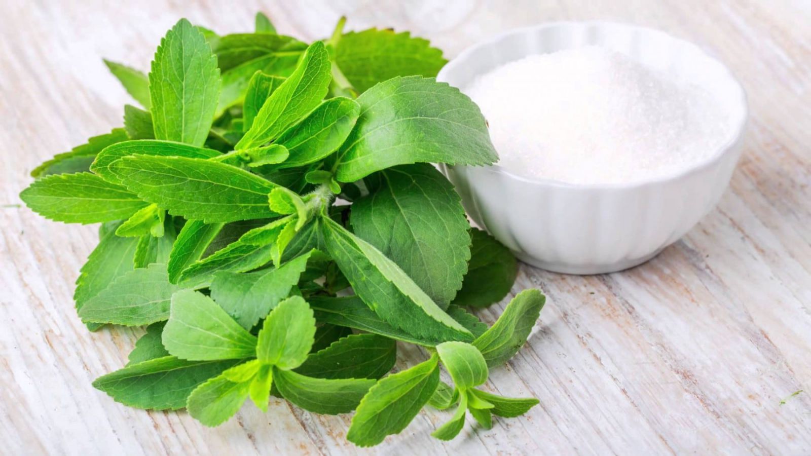 Công thức mới hỗ trợ hạ đường huyết hiệu quả nhờ thảo 3 loại thảo dược thiên nhiên 3